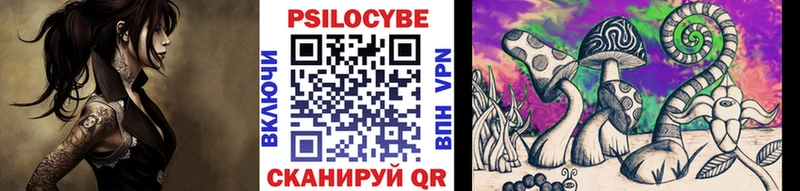 мега ссылки  Печоры  Псилоцибиновые грибы мицелий 